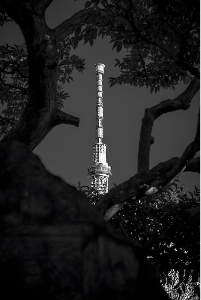 Tokyo Skytree s'élevant au-dessus de la ville